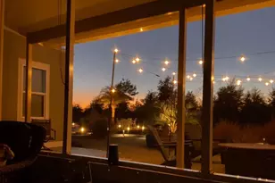 290 Rudy's Blaze, Wewahitchka, FL 32465 - Photo 76