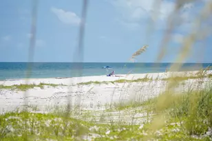 2311 Tally Ho Rd, Saint George Island, FL 32328 - Photo 76