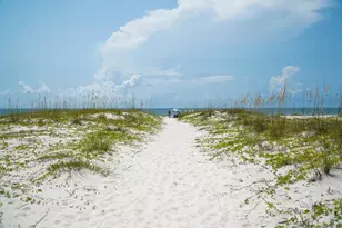 2311 Tally Ho Rd, Saint George Island, FL 32328 - Photo 90