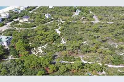 1328 Azalea Dr, Saint George Island, FL 32328 - Photo 8