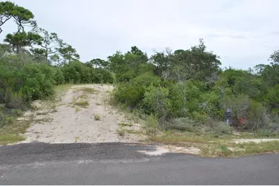 1328 Azalea Dr, Saint George Island, FL 32328 - Photo 2