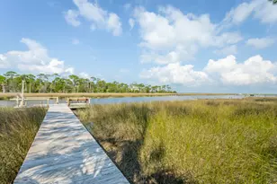 1851 Harbor Light Ln, Saint George Island, FL 32328 - Photo 12
