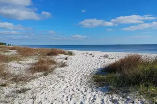 16-6 Collins Ave, Lanark Village, FL 32323 - Photo 42