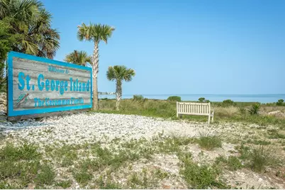 123 W Gulf Beach Dr, Saint George Island, FL 32328 - Photo 58