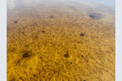 1143 Cape San Blas Rd, Port Saint Joe, FL 32456 - Photo 46