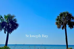 216 Whiting St, Port Saint Joe, FL 32456 - Photo 54