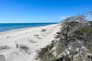 1201 Avocet Ln, Saint George Island, FL 32328 - Photo 44