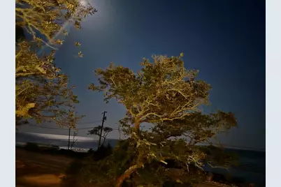 2319 Hwy 98 W, Carrabelle, FL 32322 - Photo 58