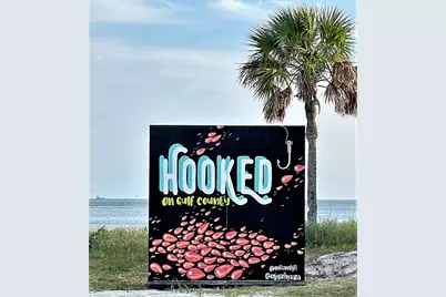 Lot 9 Cr 30-A, Port Saint Joe, FL 32456 - Photo 10