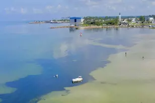 233 Mosaic Dr, Port Saint Joe, FL 32456 - Photo 42