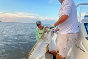 1412 Dogwood Dr, Saint George Island, FL 32328 - Photo 56