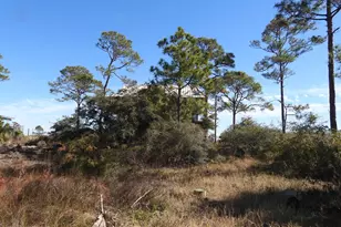 368 Lubbers Ln, Carrabelle, FL 32322 - Photo 4
