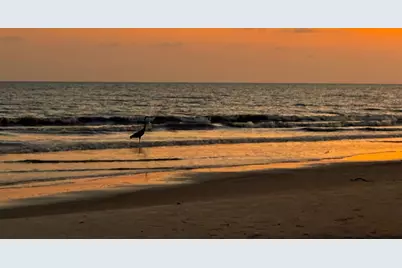 130 Cord Grass Way, Cape San Blas, FL 32456 - Photo 58