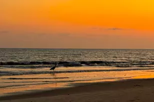 130 Cord Grass Way, Cape San Blas, FL 32456 - Photo 58