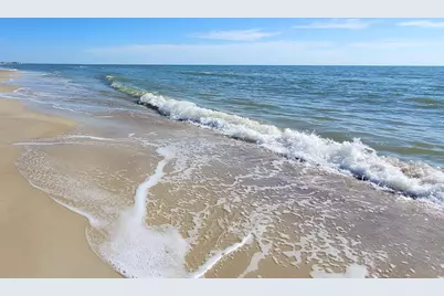 130 Cord Grass Way, Cape San Blas, FL 32456 - Photo 56