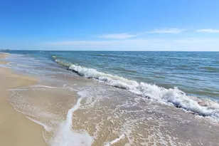 130 Cord Grass Way, Cape San Blas, FL 32456 - Photo 56