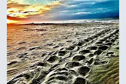 1245 E Gulf Beach Dr, Saint George Island, FL 32328 - Photo 30