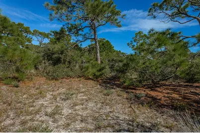 1729 E Gulf Beach Dr, Saint George Island, FL 32328 - Photo 16