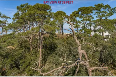 1729 E Gulf Beach Dr, Saint George Island, FL 32328 - Photo 10