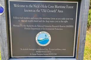 1484 Blueberry Rd, Saint George Island, FL 32328 - Photo 26