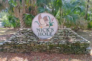 1484 Blueberry Rd, Saint George Island, FL 32328 - Photo 28