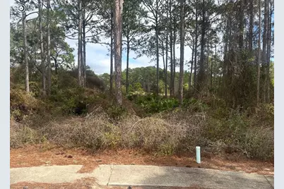 130 Spoonbill Ct, Carrabelle, FL 32322 - Photo 2