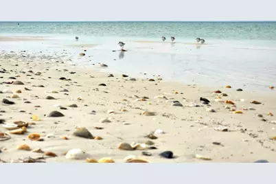 188 Avalon Dr, Cape San Blas, FL 32456 - Photo 80