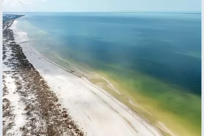 396 Sea Grove Way, Port Saint Joe, FL 32456 - Photo 64