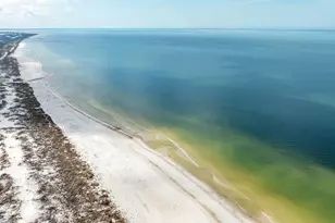 396 Sea Grv Wy, Port Saint Joe, FL 32456 - Photo 64