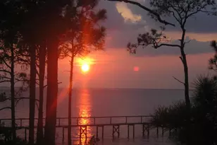 1639 Wayfarers Ct, Saint George Island, FL 32328 - Photo 54