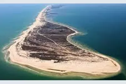 1639 Wayfarers Ct, Saint George Island, FL 32328 - Photo 52