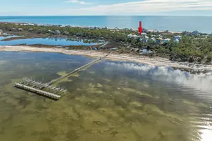 1639 Wayfarers Ct, Saint George Island, FL 32328 - Photo 14