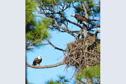 1639 Wayfarers Ct, Saint George Island, FL 32328 - Photo 60
