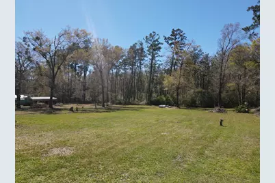 159 S Murphy Rd, Wewahitchka, FL 32456 - Photo 24