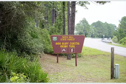 156 Skimmer Dr, Carrabelle, FL 32322 - Photo 22