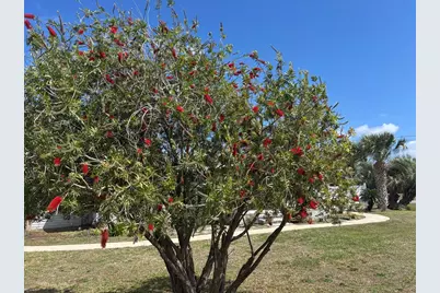 1321 McClelland Ave, Port Saint Joe, FL 32456 - Photo 20