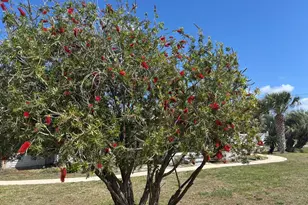 1321 Mc Clelland Ave, Port Saint Joe, FL 32456 - Photo 20