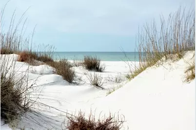 0 Hwy 98, Port Saint Joe, FL 32456 - Photo 20