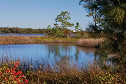 Lot 2 Cape San Blas Rd, Port Saint Joe, FL 32456 - Photo 44