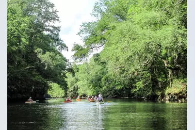 2771 Hwy 71 S, Wewahitchka, FL 32465 - Photo 14