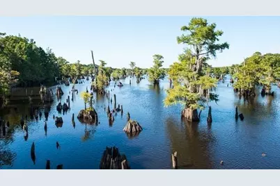 2771 Hwy 71 S, Wewahitchka, FL 32465 - Photo 18