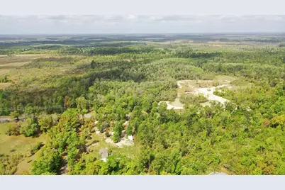 2771 Hwy 71 S, Wewahitchka, FL 32465 - Photo 20