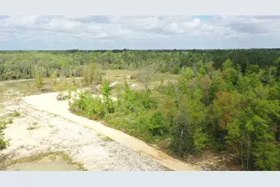 2771 Hwy 71 S, Wewahitchka, FL 32465 - Photo 4