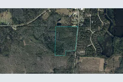 2771 Hwy 71 S, Wewahitchka, FL 32465 - Photo 6