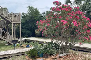 6138 Cr 30-A, Port Saint Joe, FL 32456 - Photo 8