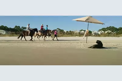 Lot 15 Plantation Dr, Port Saint Joe, FL 32456 - Photo 12