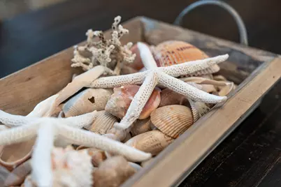 3050 Hwy 98 W #B45, Port Saint Joe, FL 32456 - Photo 12