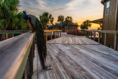 19 Black's Island Tr, Port Saint Joe, FL 32456 - Photo 86