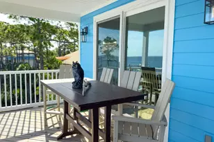 1229 Watkins Cove, Saint George Island, FL 32328 - Photo 18