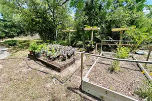 865 W Pine Ave, Saint George Island, FL 32328 - Photo 8